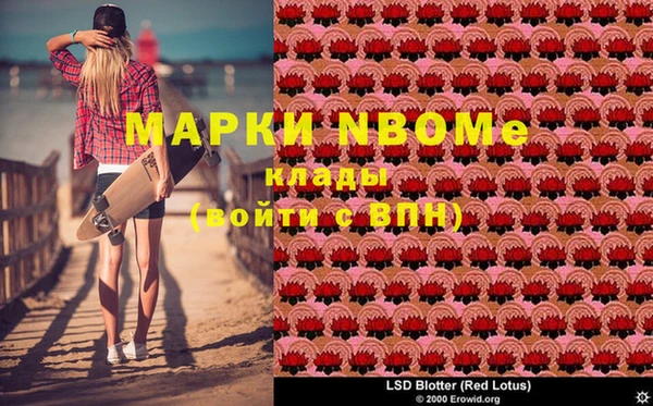 прущие грибы Абдулино