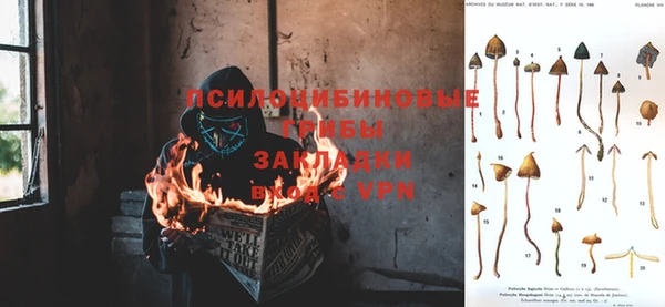 mdpv Алзамай