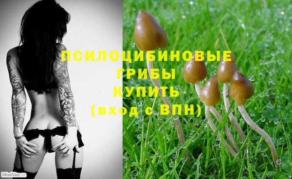 каннабис Абинск