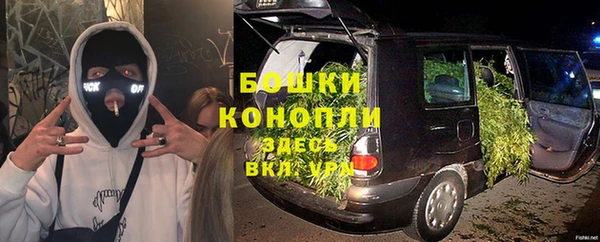 прущие грибы Абдулино