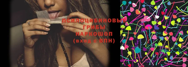 прущие грибы Абдулино