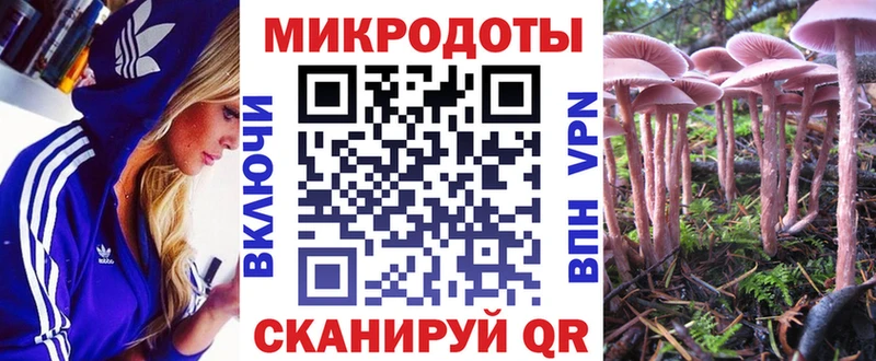 Псилоцибиновые грибы мицелий  MEGA как войти  Сольцы  купить наркоту 